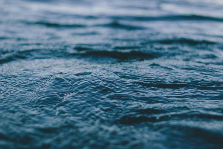 ocean009.jpg