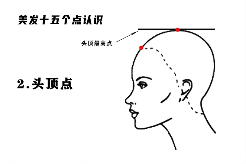 头顶点.png