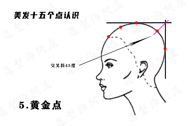 黄金点.png