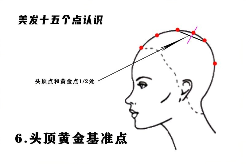 头顶基准点.png