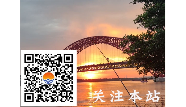 信用卡逾期后协商停息挂账的详细步骤指南